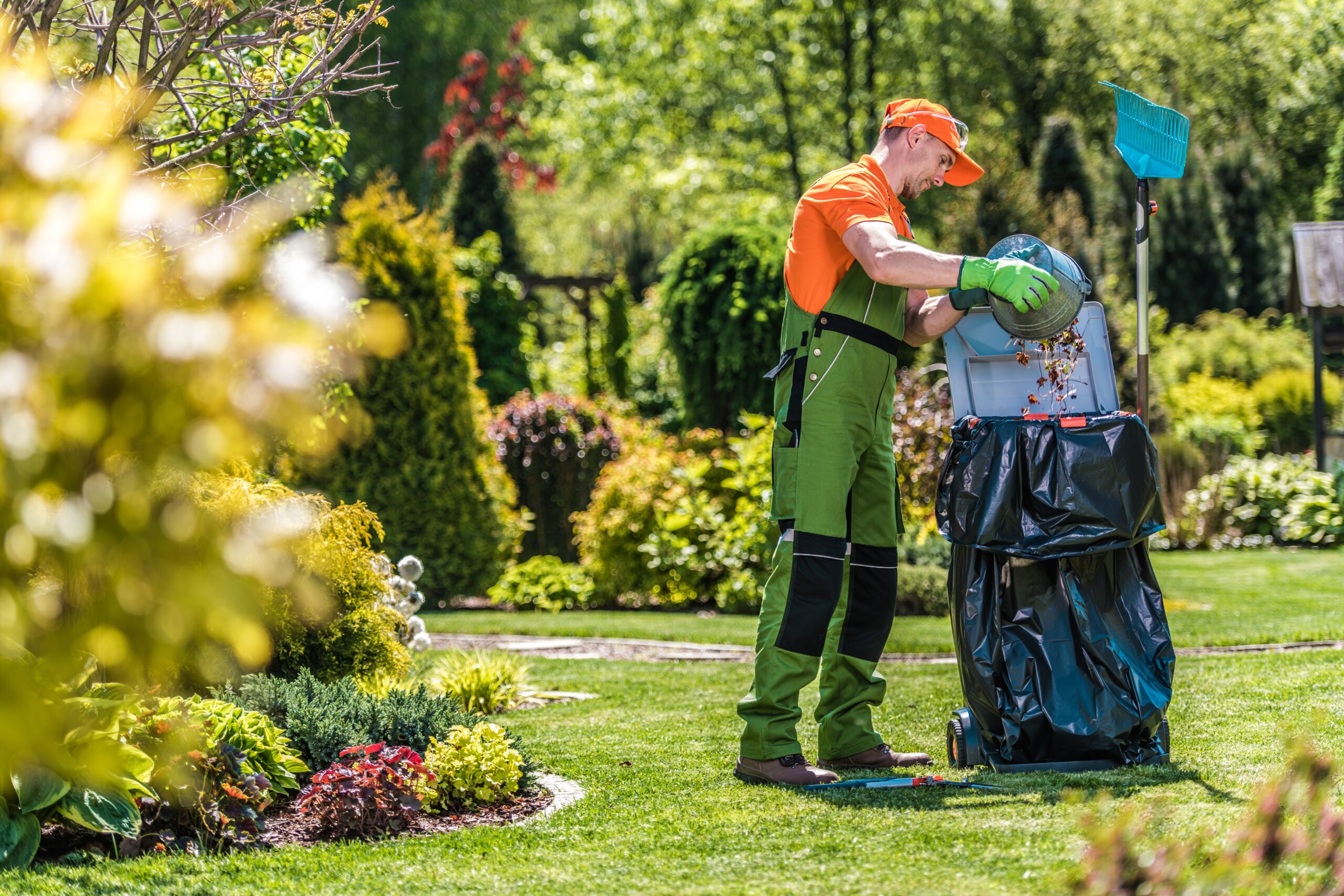 A Caucasian gardener working in the green garden and cleaning it from leaves and grass